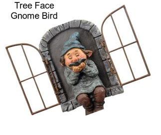 Tree Face Gnome Bird