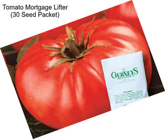 Tomato Mortgage Lifter (30 Seed Packet)