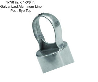 1-7/8 in. x 1-3/8 in. Galvanized Aluminum Line Post Eye Top