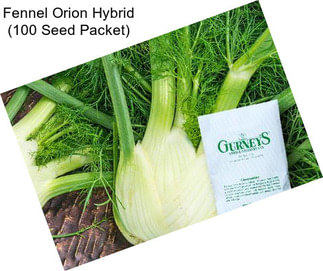 Fennel Orion Hybrid (100 Seed Packet)