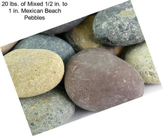 20 lbs. of Mixed 1/2 in. to 1 in. Mexican Beach Pebbles