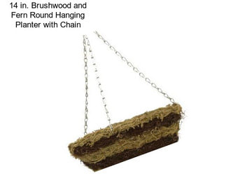 14 in. Brushwood and Fern Round Hanging Planter with Chain