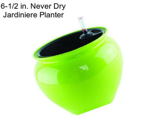 6-1/2 in. Never Dry Jardiniere Planter