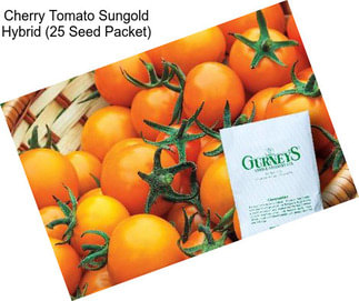 Cherry Tomato Sungold Hybrid (25 Seed Packet)