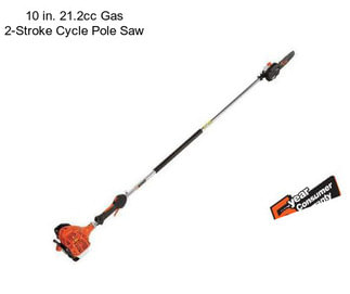 10 in. 21.2cc Gas 2-Stroke Cycle Pole Saw