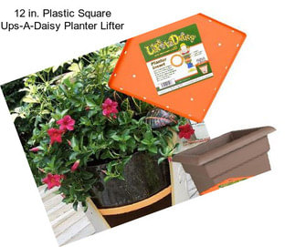 12 in. Plastic Square Ups-A-Daisy Planter Lifter