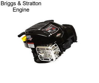 Briggs & Stratton Engine