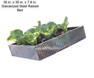 35 in. x 35 in. x 7.8 in. Galvanized Steel Raised Bed