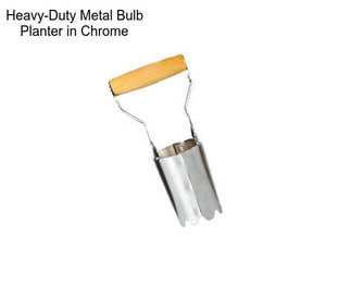 Heavy-Duty Metal Bulb Planter in Chrome