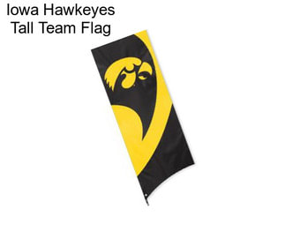 Iowa Hawkeyes Tall Team Flag