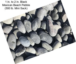 1 in. to 2 in. Black Mexican Beach Pebble (500 lb. Mini Sack)