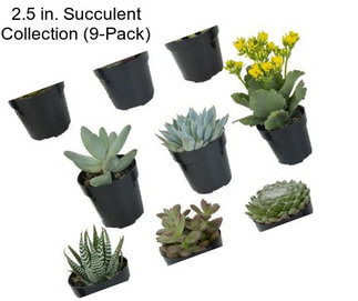 2.5 in. Succulent Collection (9-Pack)