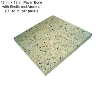 18 in. x 18 in. Paver Bone with Shells and Abalone (99 sq. ft. per pallet)