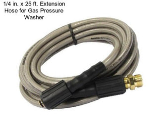 1/4 in. x 25 ft. Extension Hose for Gas Pressure Washer