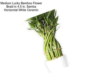 Medium Lucky Bamboo Flower Braid in 4.5 in. Samba Horizontal White Ceramic