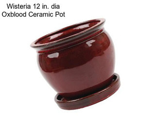 Wisteria 12 in. dia Oxblood Ceramic Pot