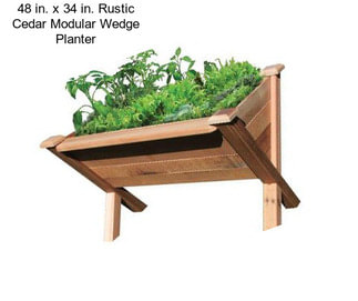 48 in. x 34 in. Rustic Cedar Modular Wedge Planter