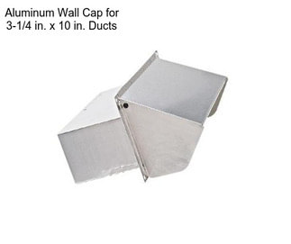Aluminum Wall Cap for 3-1/4 in. x 10 in. Ducts