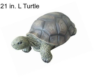 21 in. L Turtle