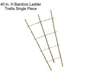40 in. H Bamboo Ladder Trellis Single Piece