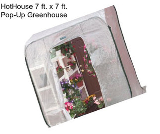 HotHouse 7 ft. x 7 ft. Pop-Up Greenhouse
