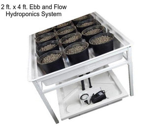 2 ft. x 4 ft. Ebb and Flow Hydroponics System