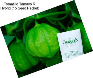 Tomatillo Tamayo R Hybrid (15 Seed Packet)