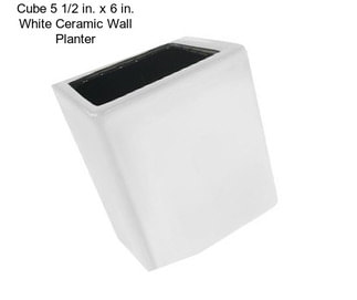 Cube 5 1/2 in. x 6 in. White Ceramic Wall Planter