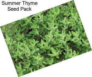 Summer Thyme Seed Pack