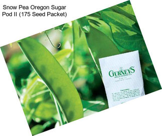 Snow Pea Oregon Sugar Pod II (175 Seed Packet)