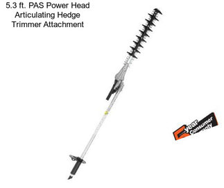 5.3 ft. PAS Power Head Articulating Hedge Trimmer Attachment