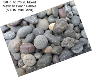5/8 in. to 7/8 in. Mixed Mexican Beach Pebble (500 lb. Mini Sack)