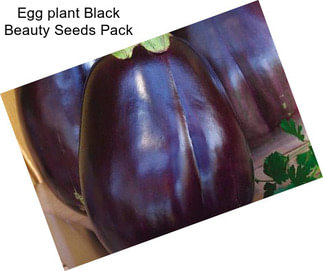 Egg plant Black Beauty Seeds Pack