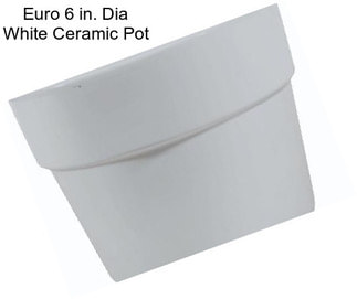 Euro 6 in. Dia White Ceramic Pot