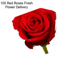 100 Red Roses Fresh Flower Delivery