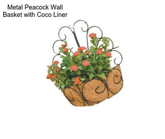 Metal Peacock Wall Basket with Coco Liner