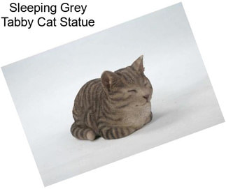 Sleeping Grey Tabby Cat Statue