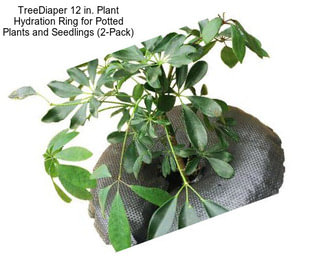 TreeDiaper 12 in. Plant Hydration Ring for Potted Plants and Seedlings (2-Pack)