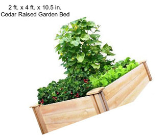 2 ft. x 4 ft. x 10.5 in. Cedar Raised Garden Bed