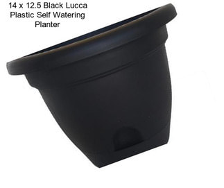 14 x 12.5 Black Lucca Plastic Self Watering Planter