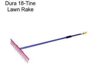 Dura 18-Tine Lawn Rake