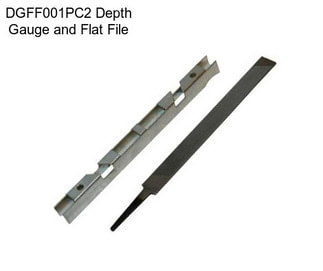 DGFF001PC2 Depth Gauge and Flat File