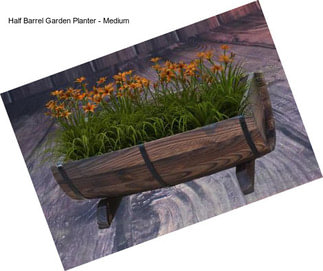 Half Barrel Garden Planter - Medium