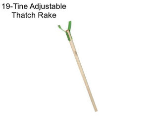 19-Tine Adjustable Thatch Rake