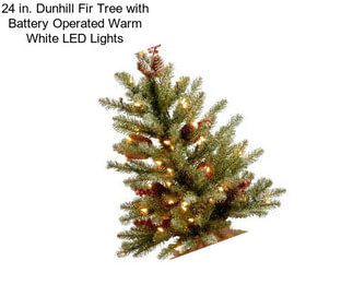 24 in. Dunhill Fir Tree with Battery Operated Warm White LED Lights