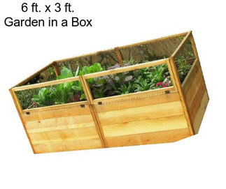 6 ft. x 3 ft. Garden in a Box