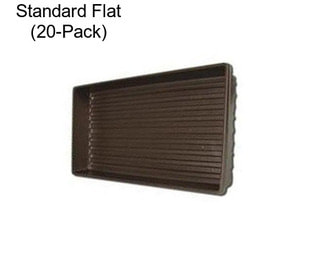 Standard Flat (20-Pack)