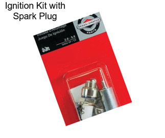 Ignition Kit with Spark Plug