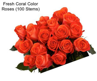 Fresh Coral Color Roses (100 Stems)