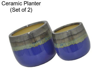 Ceramic Planter (Set of 2)